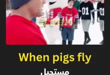 شرح تعبير "When Pigs Fly" باللغة الإنجليزية