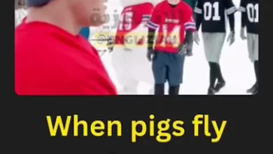 شرح تعبير "When Pigs Fly" باللغة الإنجليزية