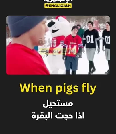 شرح تعبير "When Pigs Fly" باللغة الإنجليزية