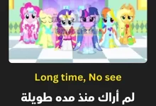 شرح تعبير "Long Time No See" باللغة الإنجليزية